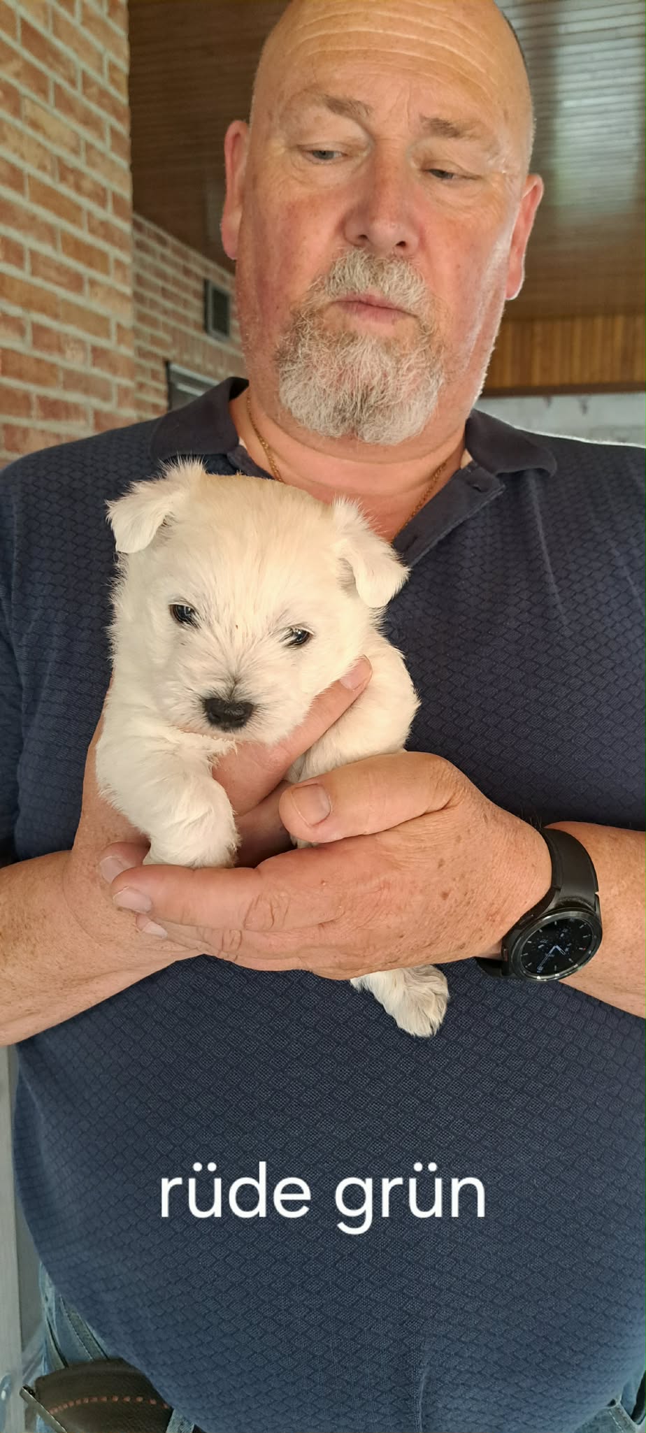 Edelweis of Beauties Zartan